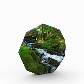 Afvloeiing van Wahkeena Falls, OR Fotoblokken (Links)