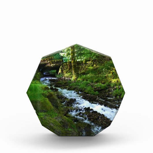 Afvloeiing van Wahkeena Falls, OR Fotoblokken (Voorkant)
