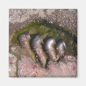 Afvoerbuizen Magneet (Voorkant)