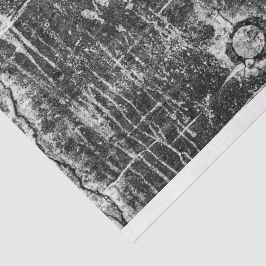 afvoermuren tissuepapier (Detail)