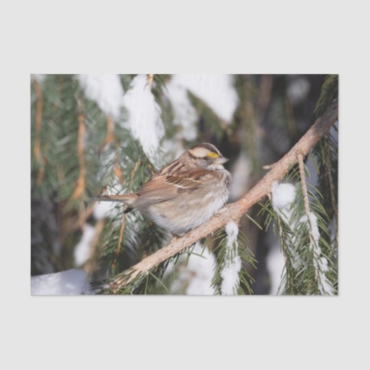 Afwerking op filiaal in pine tissuepapier (Voorkant)