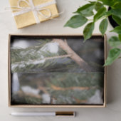 Afwerking op filiaal in pine tissuepapier (Geschenk)