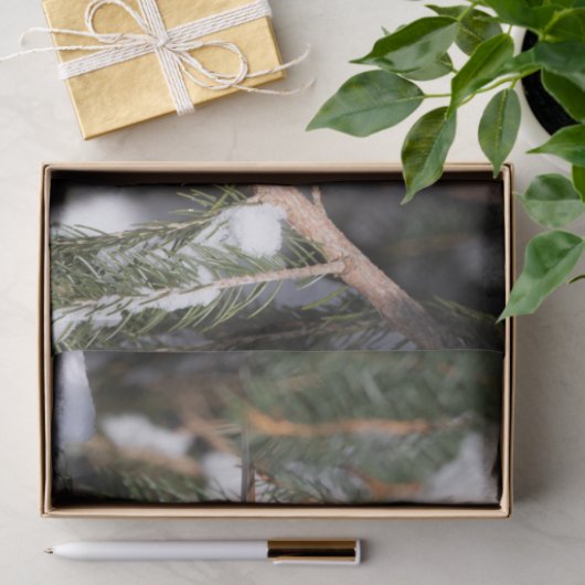 Afwerking op filiaal in pine tissuepapier (Geschenk)