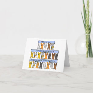 Afwijkende Nasal Septum Chirurgie Recovery Kaart