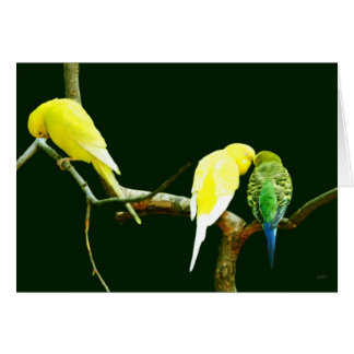 Afwijzing