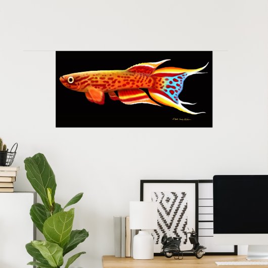Afyosemion Australe Killifish Poster (Thuiskantoor)
