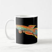 Afyosemion Killifish Mok (Links)