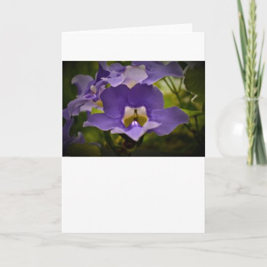 Afzegeling van de Natuur, kaart (Voorkant)