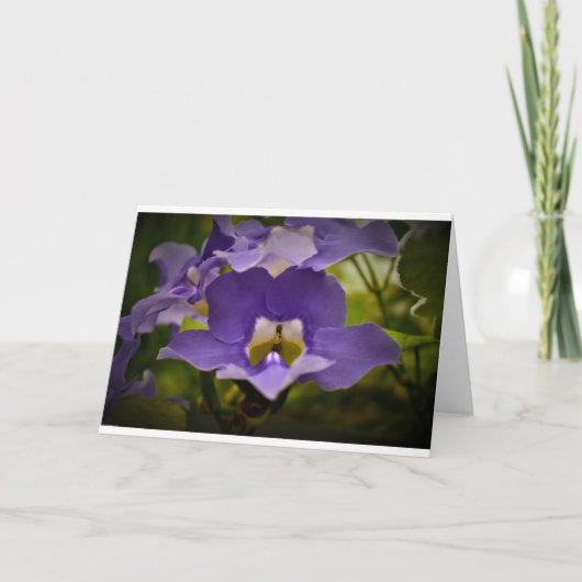 Afzegeling van de Natuur, kaart (Voorkant)