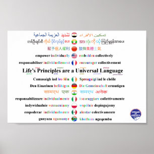 Afzonderlijk inschakelen * Collectief uitrusten Poster