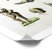 Afzonderlijke artikelen van de Armor van een Knigh Poster (Hoek)