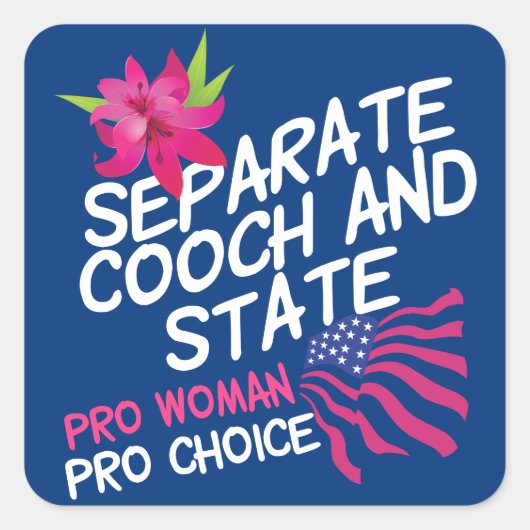 Afzonderlijke koek en de staat Funny Pro Choice Vierkante Sticker (Voorkant)