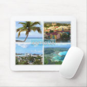 AG Antigua - Hugo Tree - Saint Johns - Muismat (Met muis)