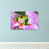 Agalychnis callidryas. canvas afdruk (Insitu (Houten vloer))