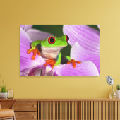 Agalychnis callidryas. canvas afdruk (Insitu (Woonkamer))
