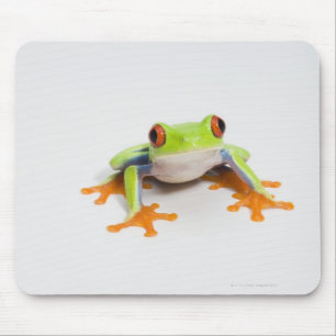 Agalychnis callidryas op witte achtergrond muismat