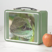 Agama, hagedis (In situ)