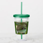 Agama, hagedis acryl drinkbeker (Voorkant)