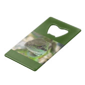 Agama, hagedis creditkaart flessenopener (Achterkant Gekanteld)