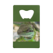 Agama, hagedis creditkaart flessenopener (Achterkant)