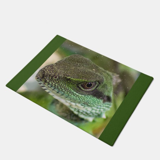 Agama, hagedis deurmat (Schuin)