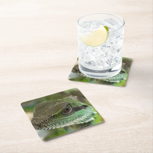 Agama, hagedis kartonnen onderzetters (Insitu)