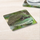 Agama, hagedis kartonnen onderzetters (Schuin)