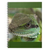 Agama, hagedis notitieboek (Voorkant)