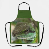 Agama, hagedis schort (Voorkant)