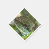 Agama, hagedis servet (Hoek)