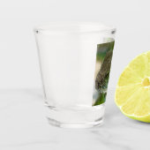 Agama, hagedis shot glas (Links)