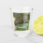 Agama, hagedis shot glas (Voorkant)