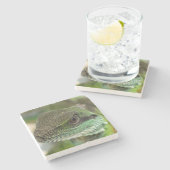 Agama, hagedis stenen onderzetter (Zijkant)