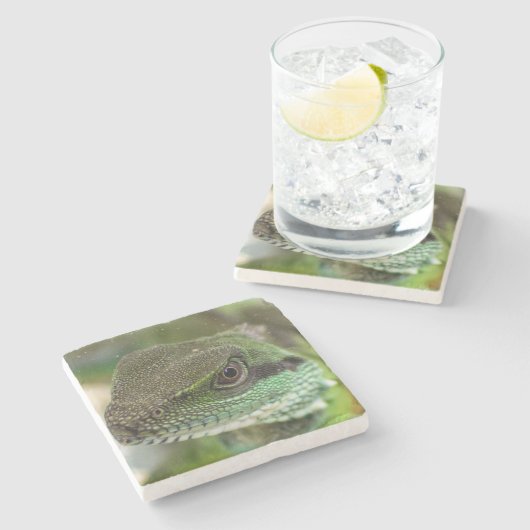 Agama, hagedis stenen onderzetter (Zijkant)