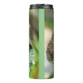 Agama, hagedis thermosbeker (Achterkant)