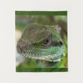 Agama, hagedis wandkleed (Voorkant)