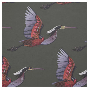 Agami heron donkere stof