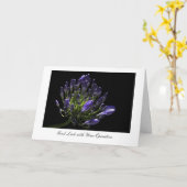 Agapanthus, Afrikaanse Lelie, Goed Geluk met Kaart (Gele Bloem)