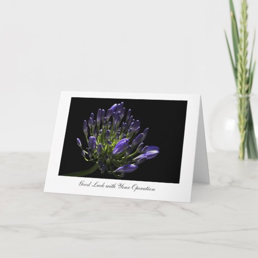 Agapanthus, Afrikaanse Lelie, Goed Geluk met Kaart (Voorkant)