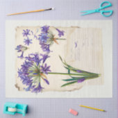 Agapanthus bloem Ephemera Collage Art Tissuepapier (Craft)