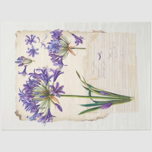 Agapanthus bloem Ephemera Collage Art Tissuepapier (Voorkant)