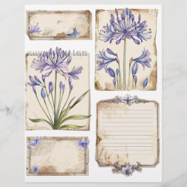 Agapanthus bloem Fussy Cut Ephemera Briefhoofd