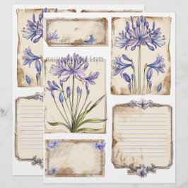 Agapanthus bloem Fussy Cut Ephemera Briefhoofd