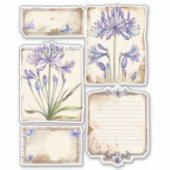Agapanthus bloem Fussy Cut Ephemera Sticker (Voorkant)