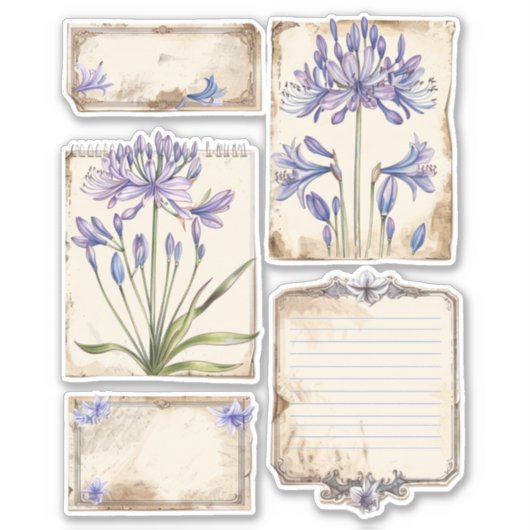Agapanthus bloem Fussy Cut Ephemera Sticker (Voorkant)