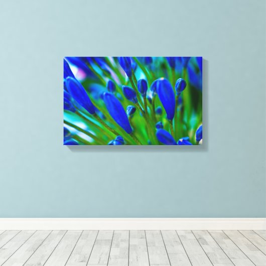 Agapanthus blue flower Canvas druk (Insitu (Houten vloer))