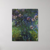 Agapanthus Canvas Afdruk (Voorkant)