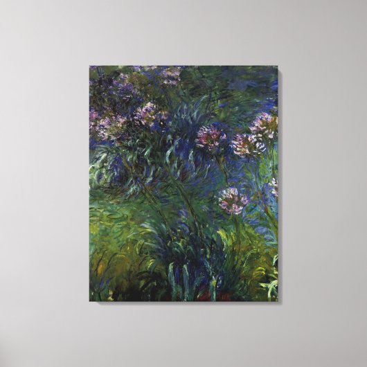 Agapanthus Canvas Afdruk (Voorkant)