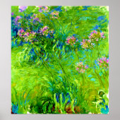 Agapanthus door Claude Monet Poster (Voorkant)