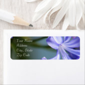 Agapanthus Flower Adresetiketten Etiket (Insitu)